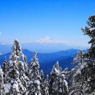 View to Mt Crane