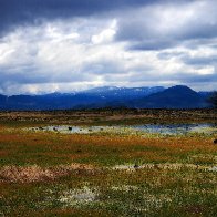 Marshlands