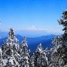 View to Mt Crane